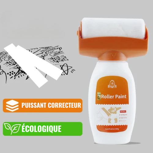 Rouleau de Peinture Réparateur 500g