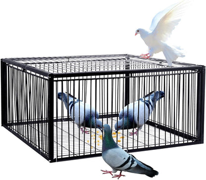 Piège à pigeons