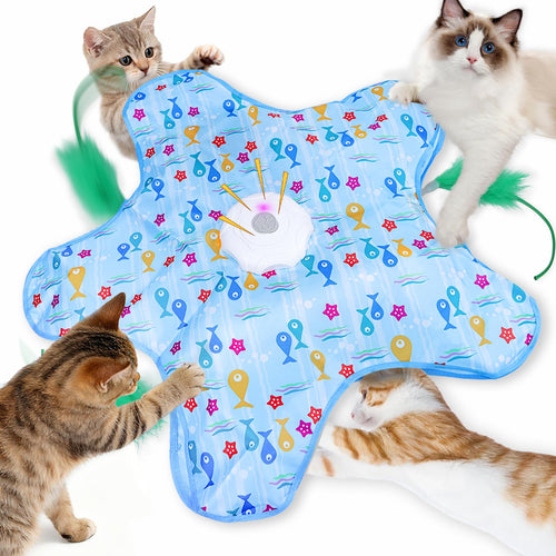 jouet interactif pour chat en forme d'étoile