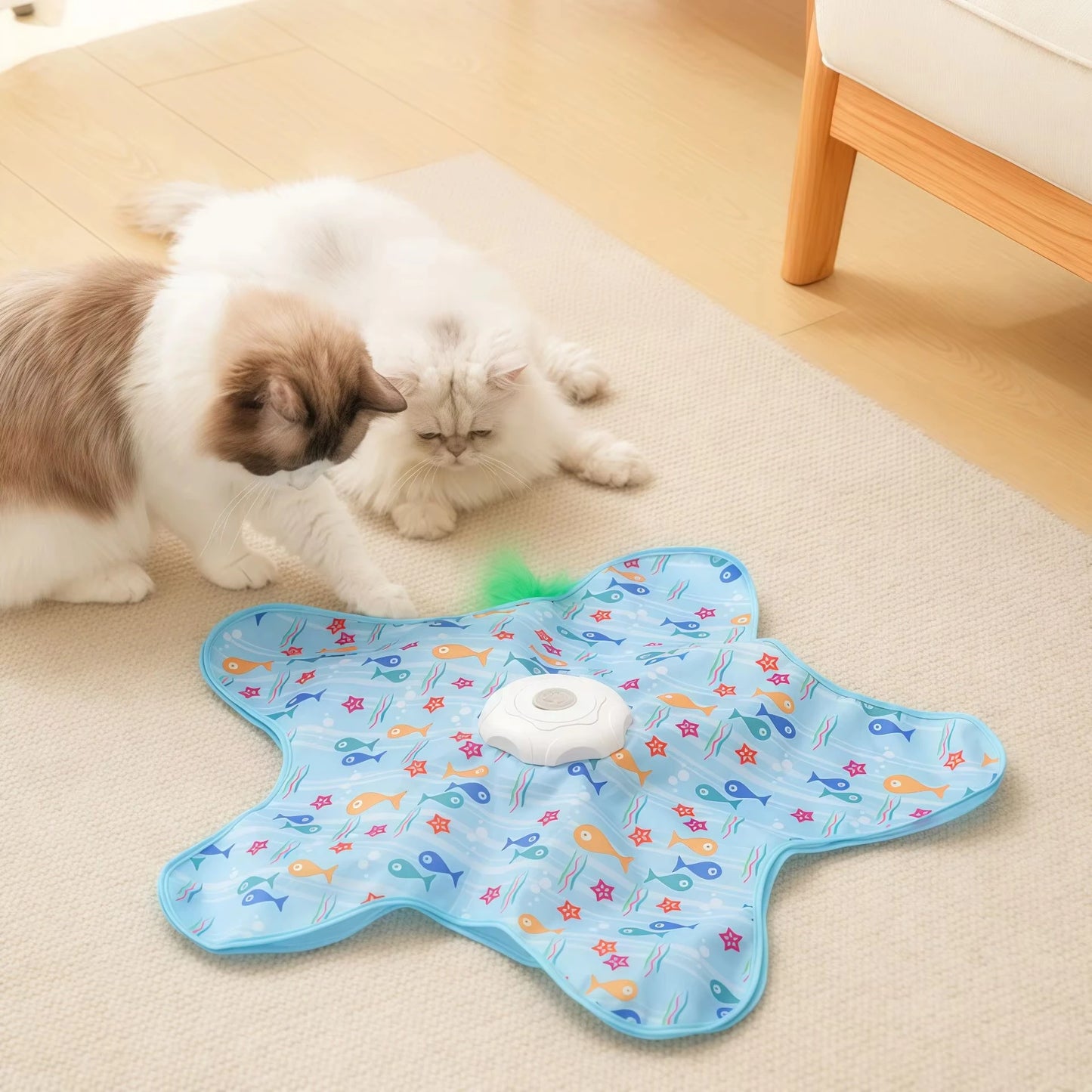 jouet interactif pour chat