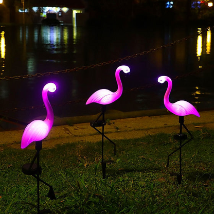 3 Flamants Roses Et Un Panneau Solaire