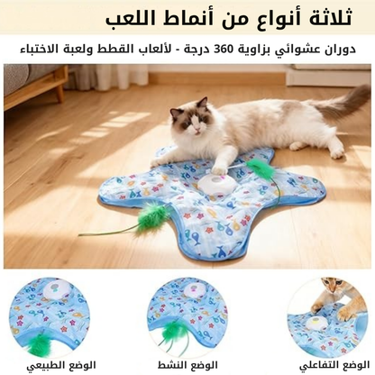 jouet interactif pour chat en forme d'étoile